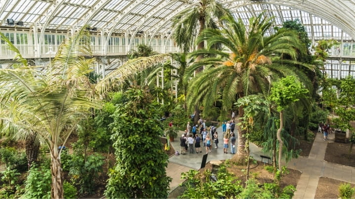 Key gardens palm house